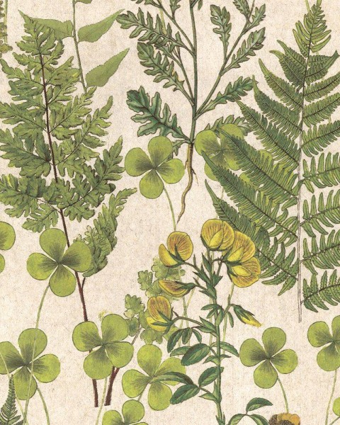 FLAX WALLPAPER | Botanical | FWP-BTN-01